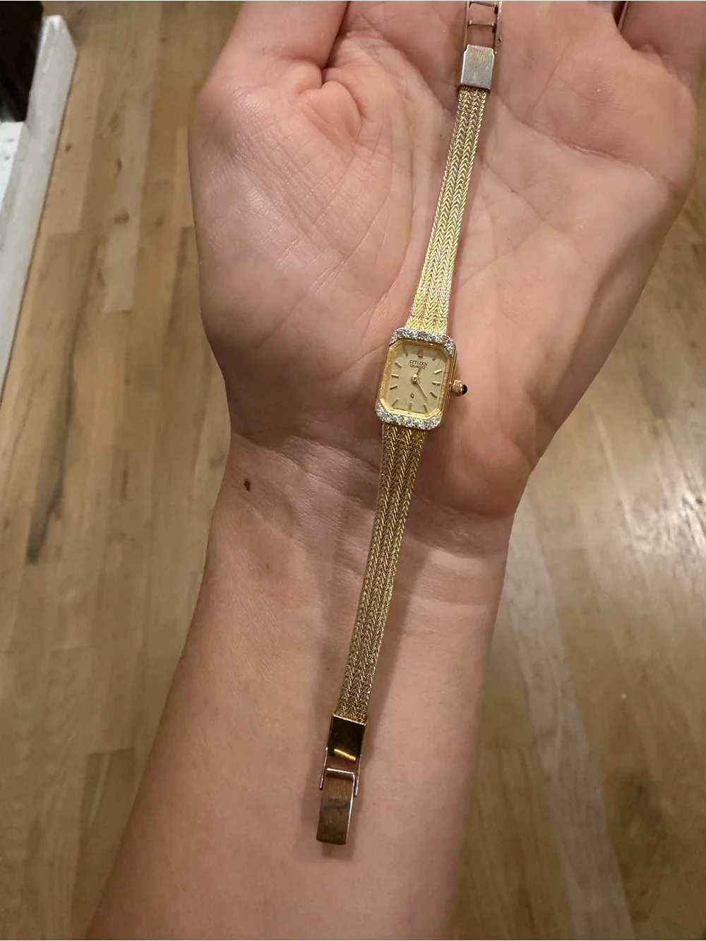 Citizen elegant women